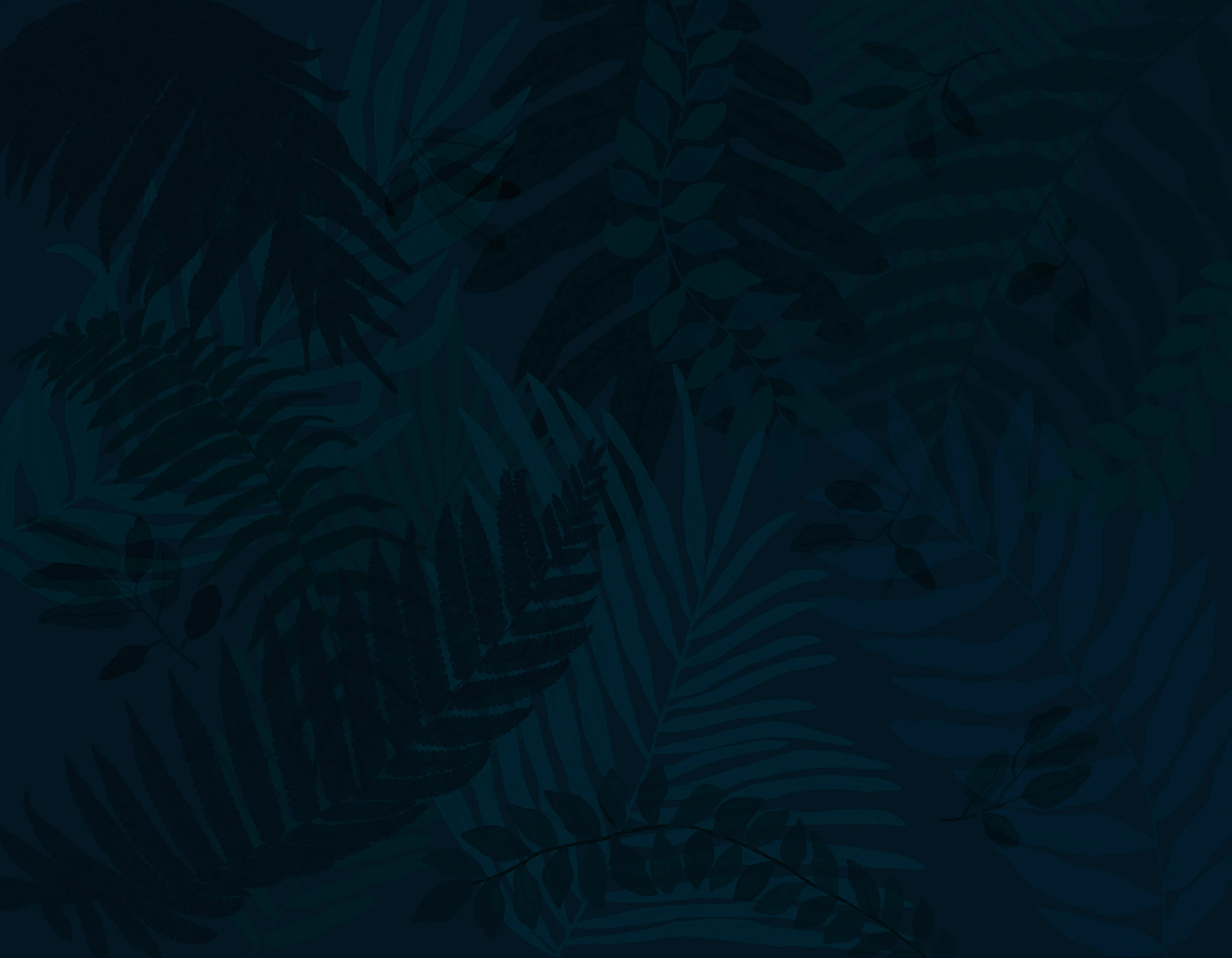 Canopy Wall Mural - Image 4