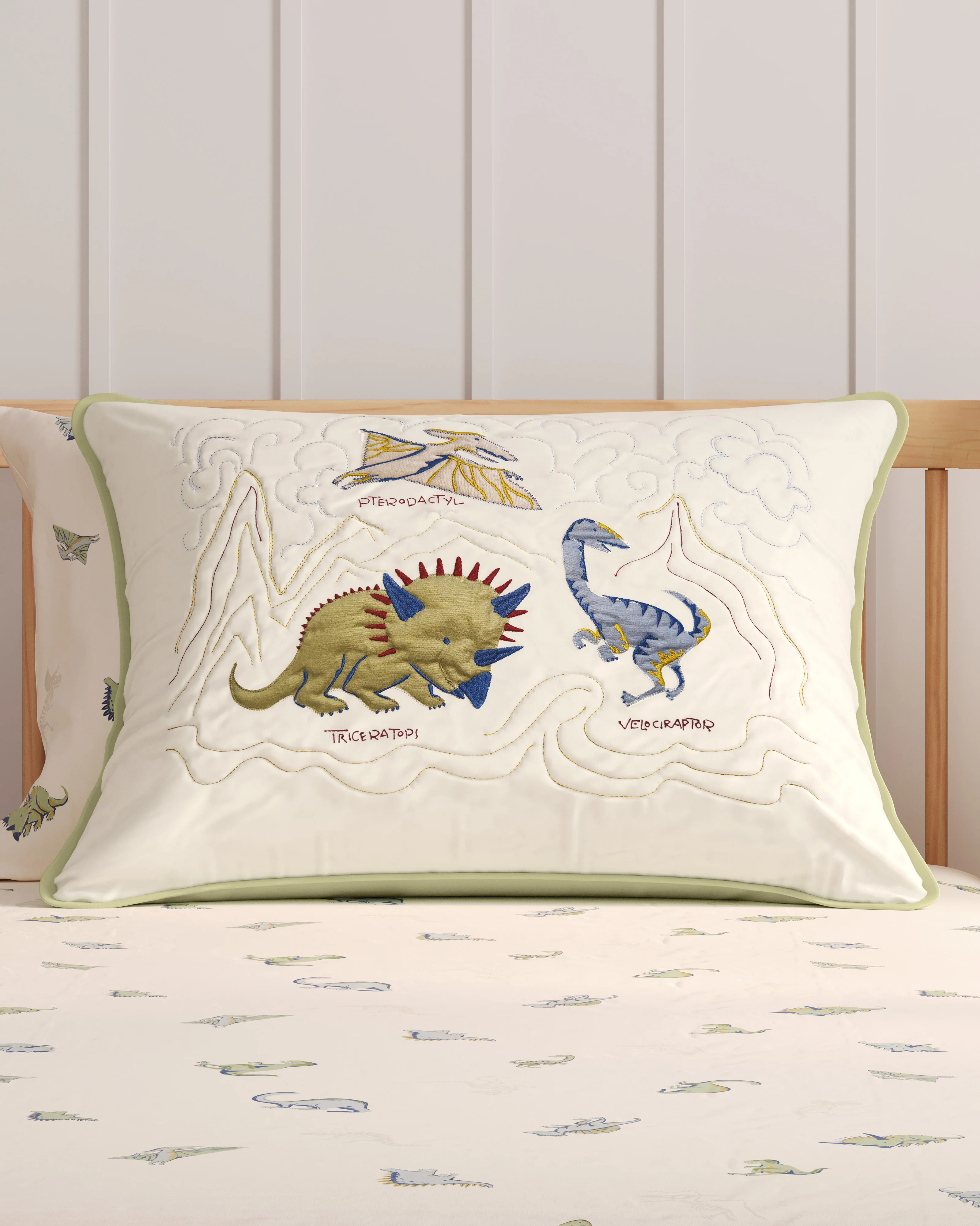 Dinosaur Island Embroidered Twin Sham - Image 4