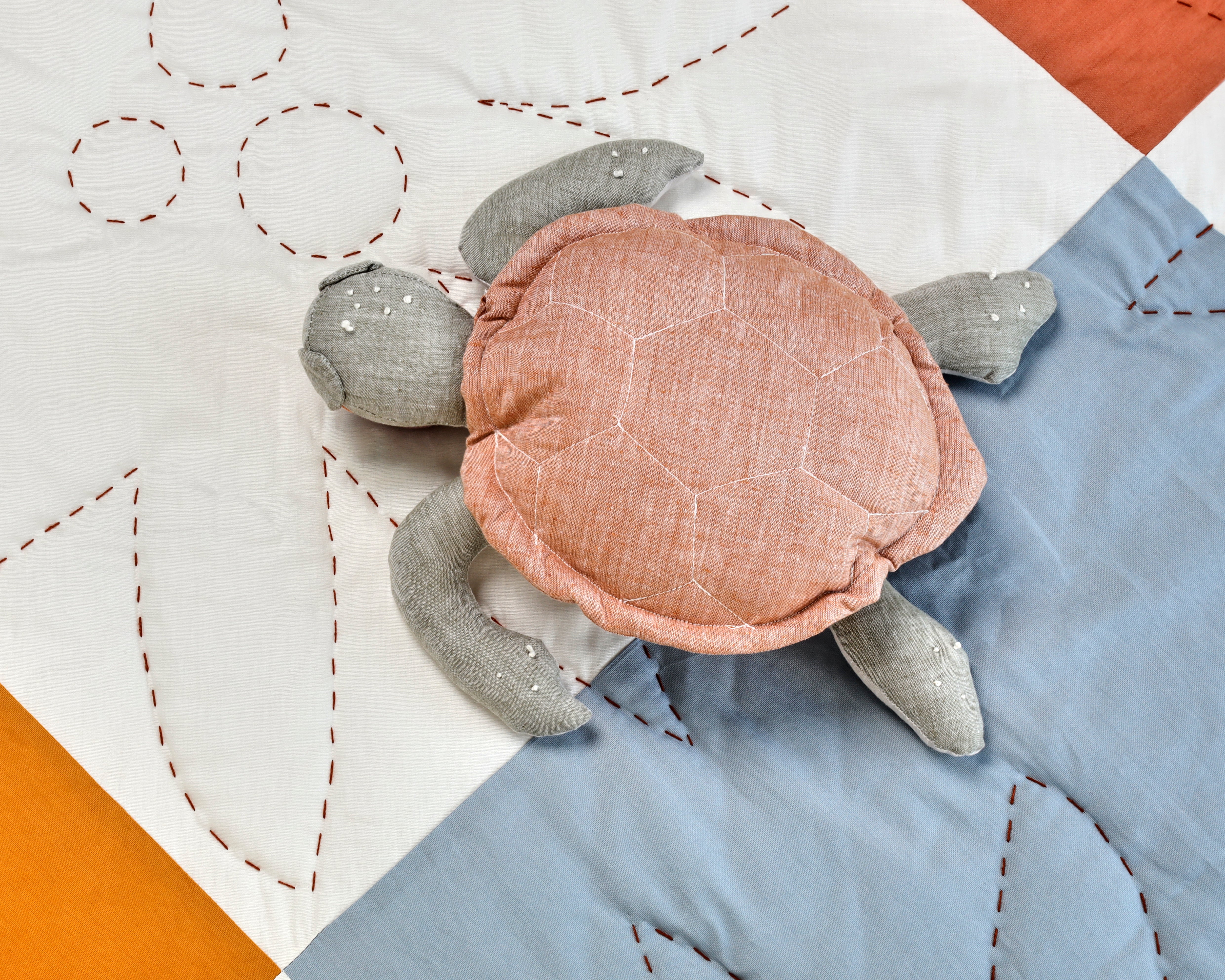 Frankie the Turtle - Image 3