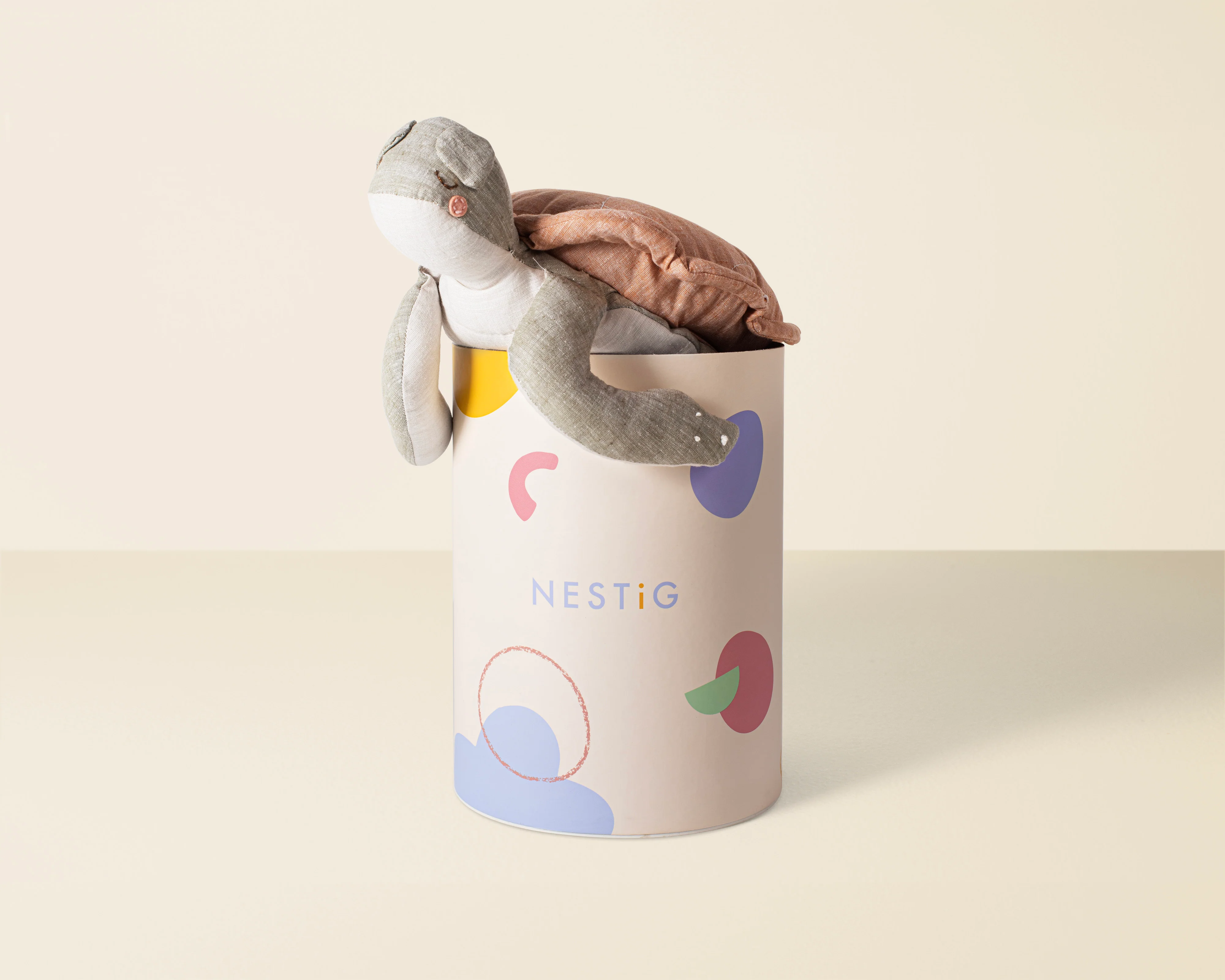 Frankie the Turtle - Image 4